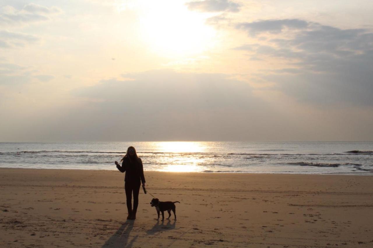 Bungalow Strandparel Julianadorp Luaran gambar